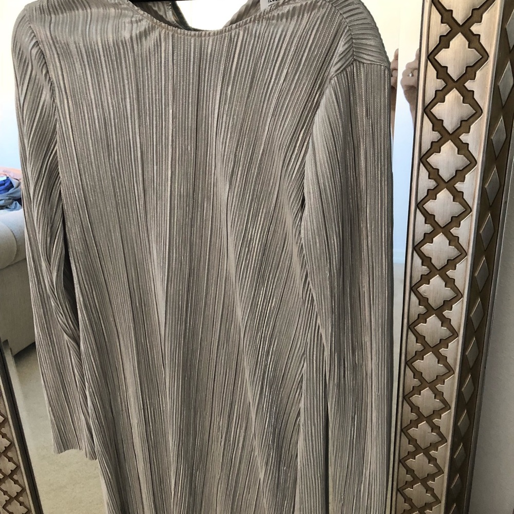 Silver Dress - Picture 3 of 3